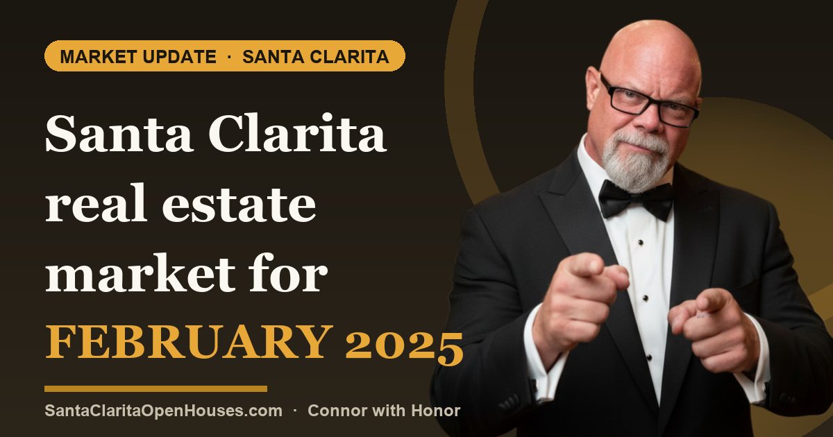 Santa Clarita real estate market for February 2025 - Status and Type breakdown